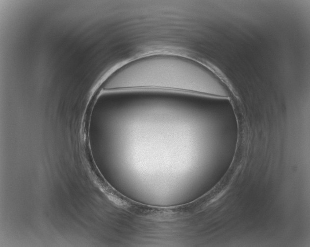 X0000079580885200612010922