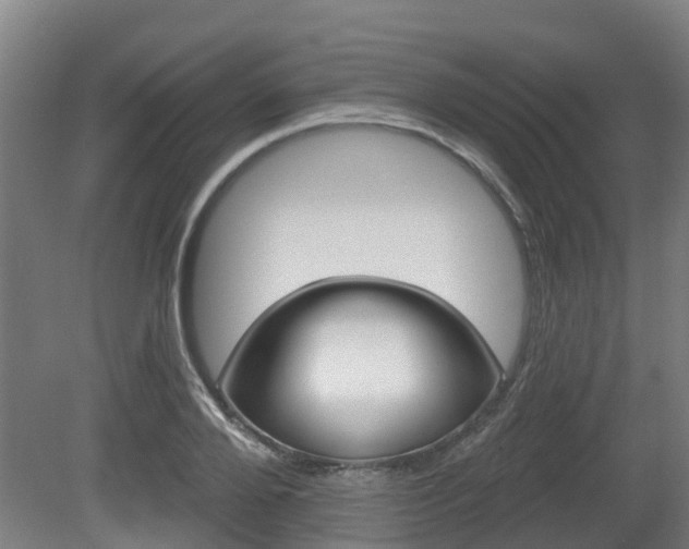 X0000079580888200612010922