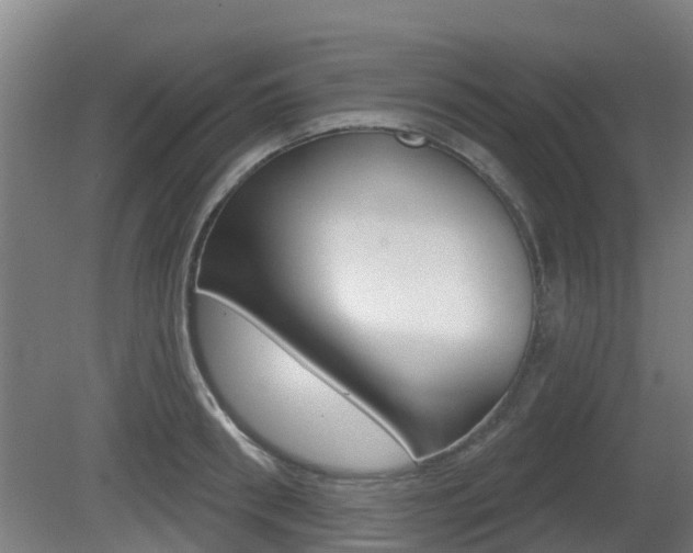 X0000079580898200612010922