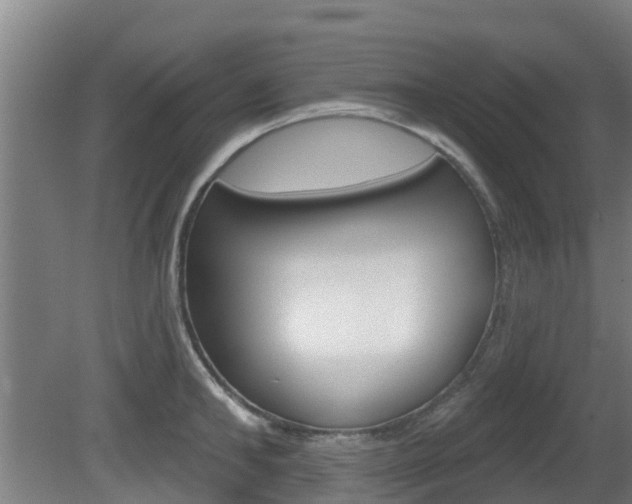 X0000079580902200612010922