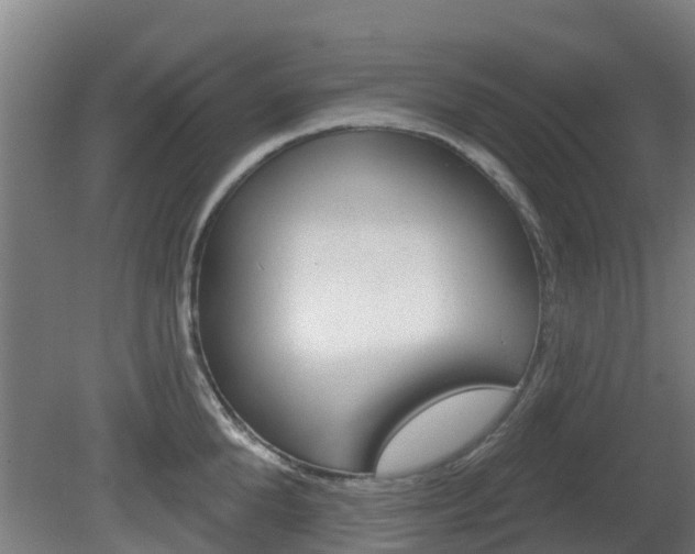 X0000079580904200612010922