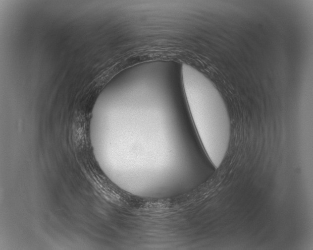 X0000079580914200612010921