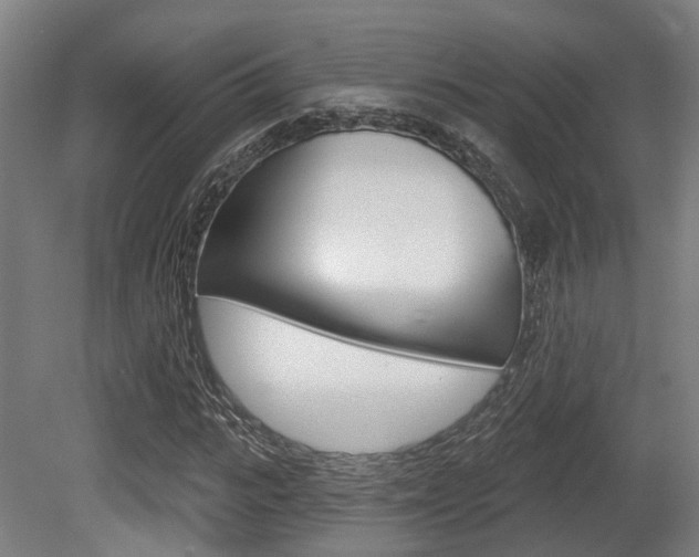 X0000079580919200612010921