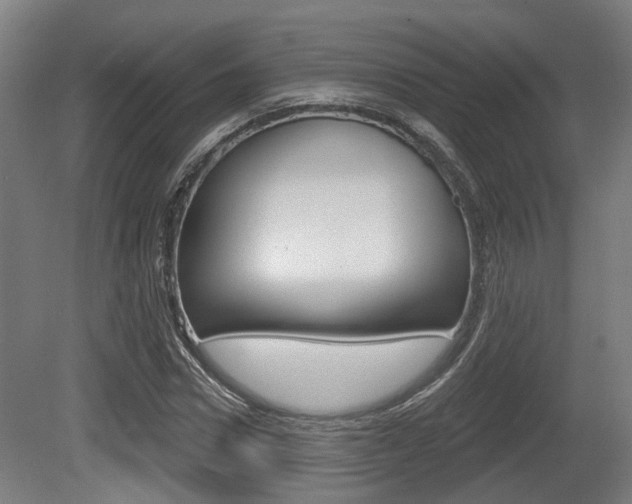 X0000079580922200612010921