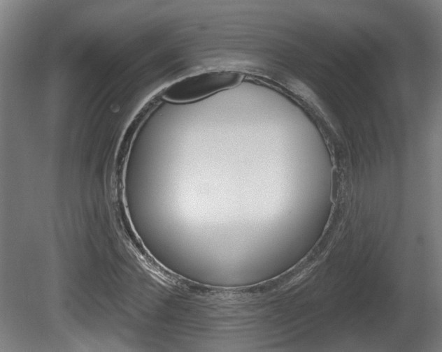 X0000079580924200612010921