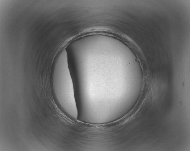 X0000079580929200612010921