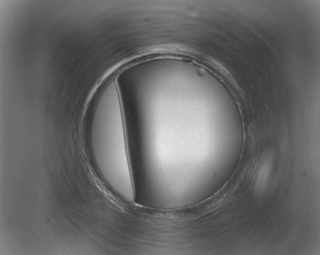 X0000079580931200612010921