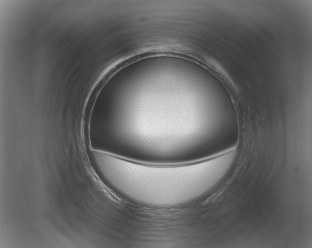 X0000079580932200612010921