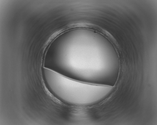 X0000079580938200612010922