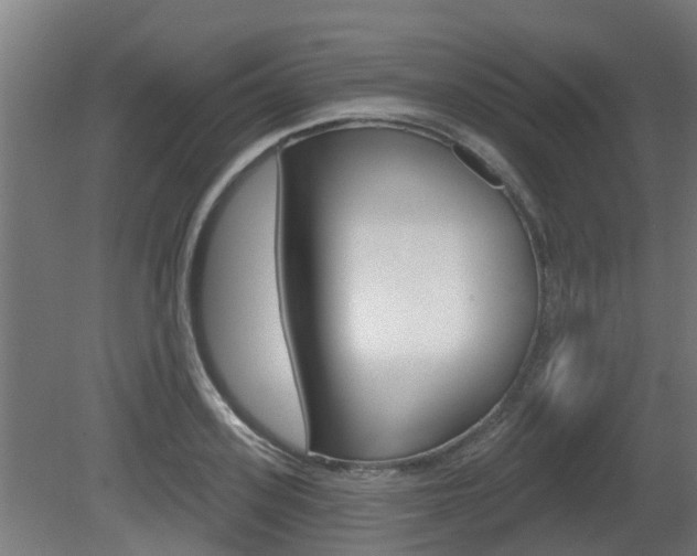X0000079580939200612010922