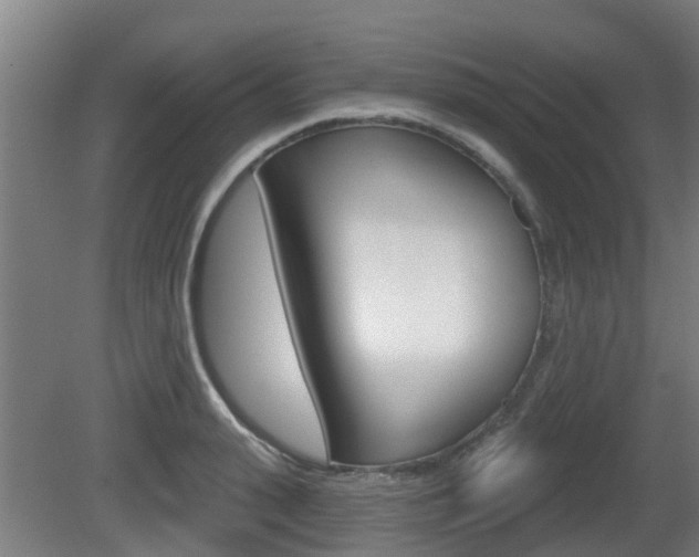 X0000079580943200612010922
