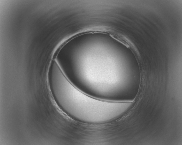 X0000079580944200612010922