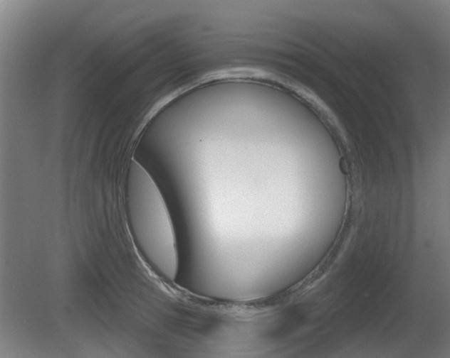 X0000079580945200612010922