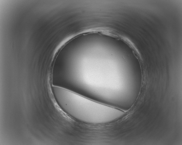 X0000079580952200612010922
