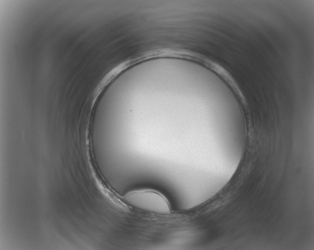 X0000079580954200612010922