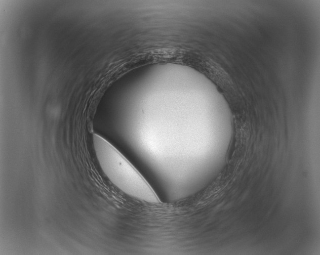 X0000079580961200612010921