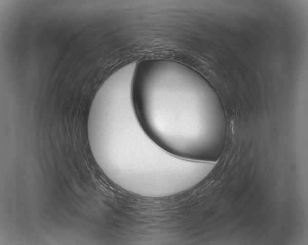 X0000079580963200612010921