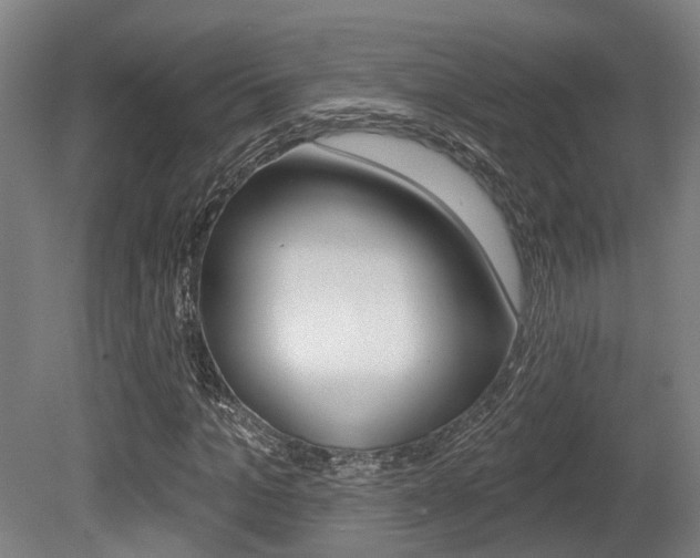 X0000079580965200612010921