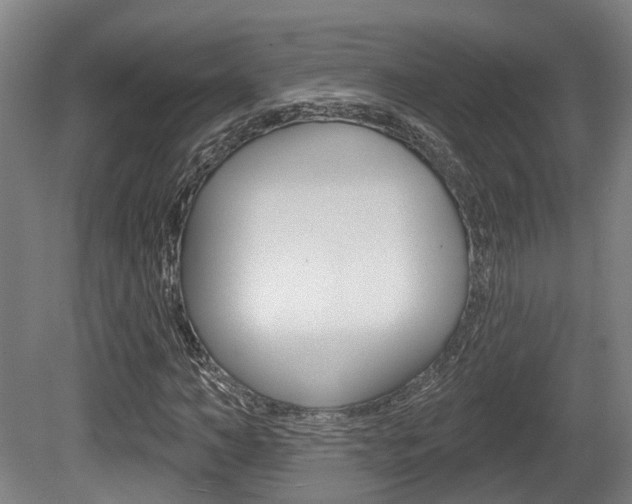 X0000079580966200612010921