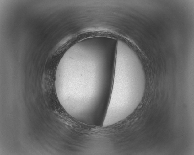 X0000079580967200612010921