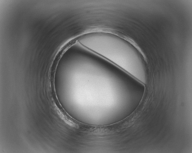 X0000079580972200612010921