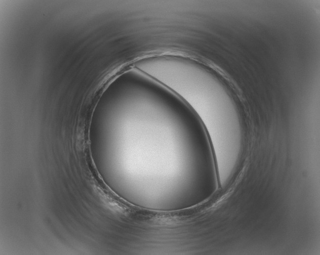 X0000079580977200612010921