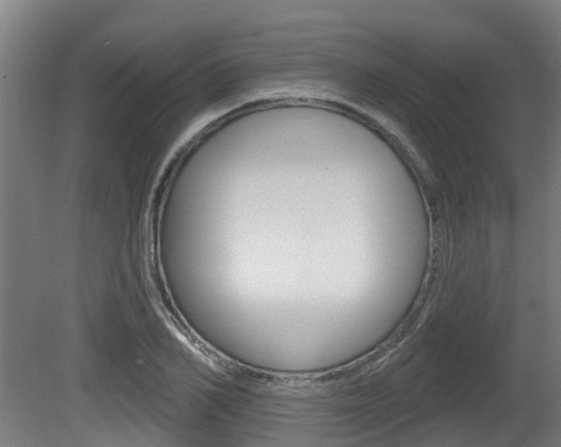 X0000079580982200612010921