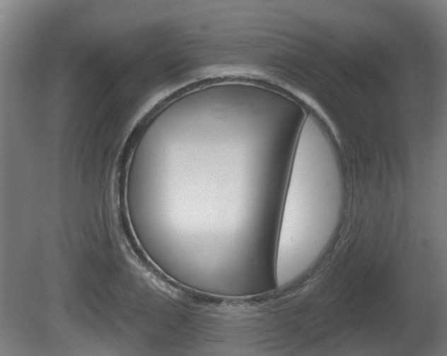 X0000079580983200612010921