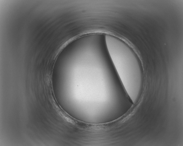 X0000079580993200612010921