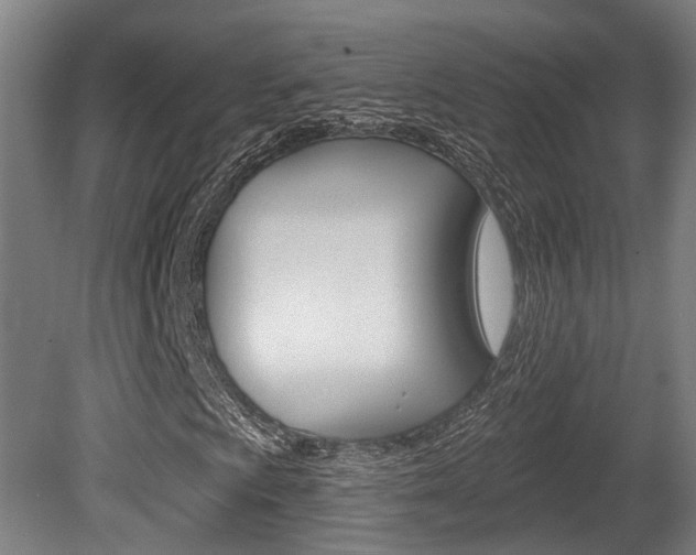 X0000079581009200612010919