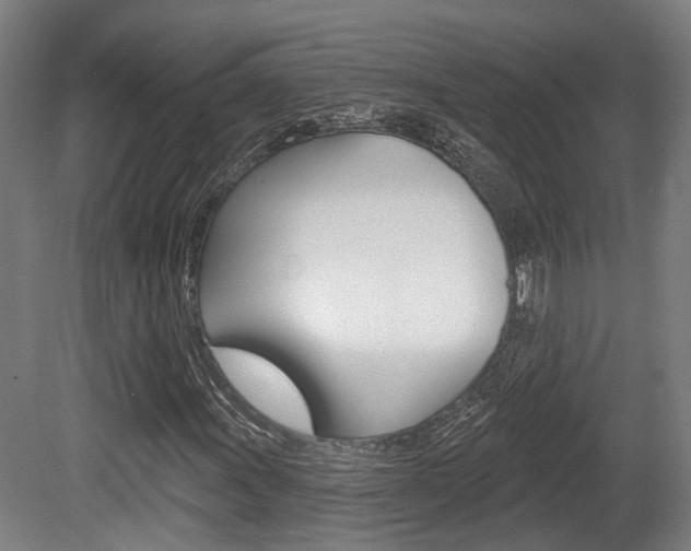X0000079581011200612010920