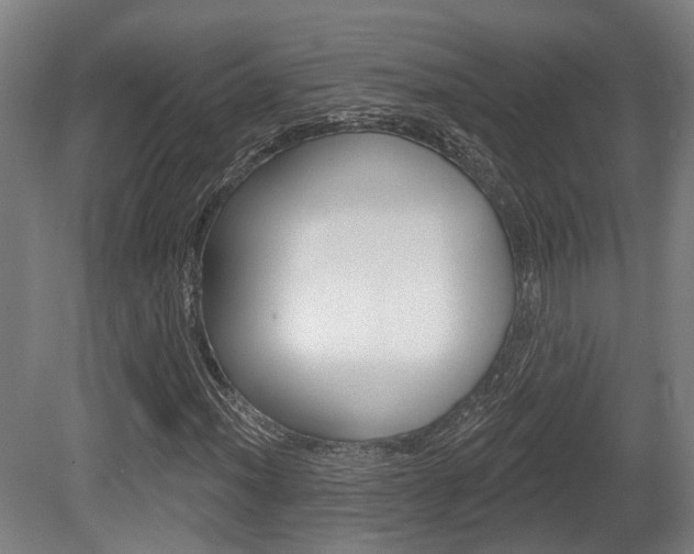 X0000079581012200612010920