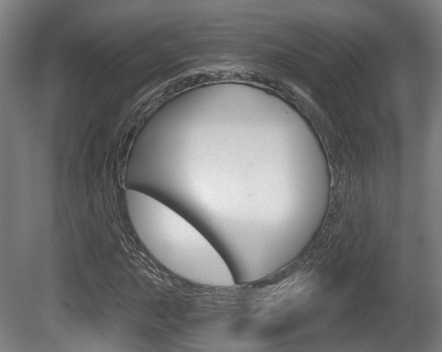 X0000079581015200612010920