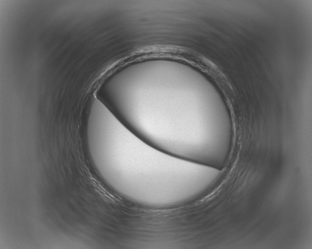 X0000079581017200612010920