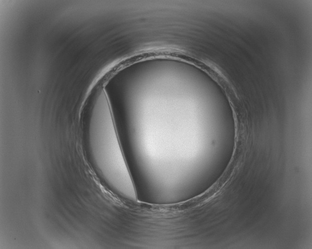 X0000079581022200612010920