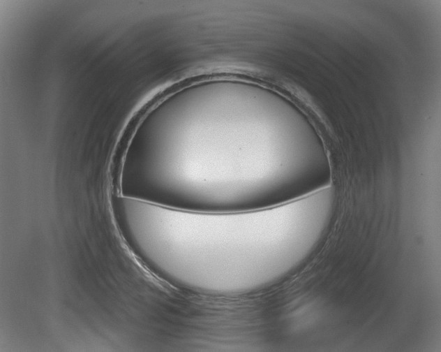 X0000079581024200612010920