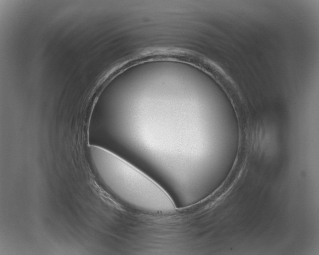 X0000079581025200612010920