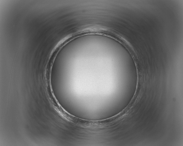 X0000079581026200612010920