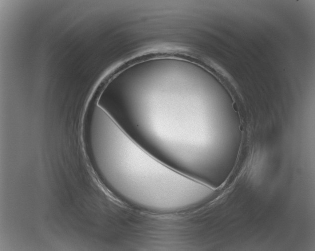 X0000079581029200612010920