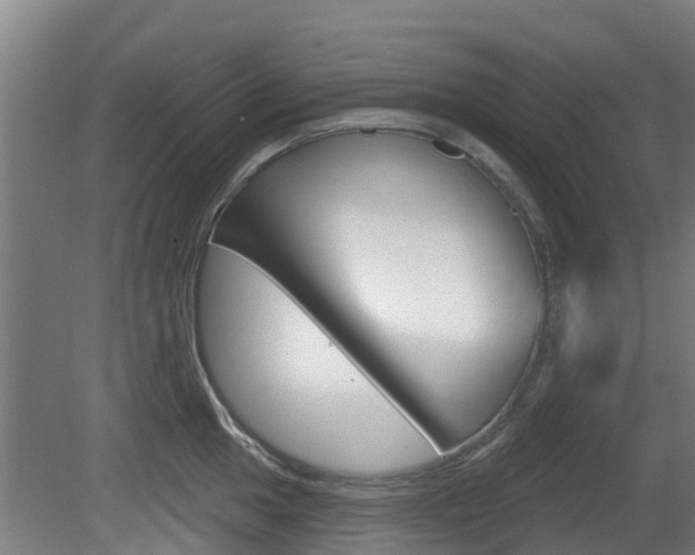 X0000079581049200612010920