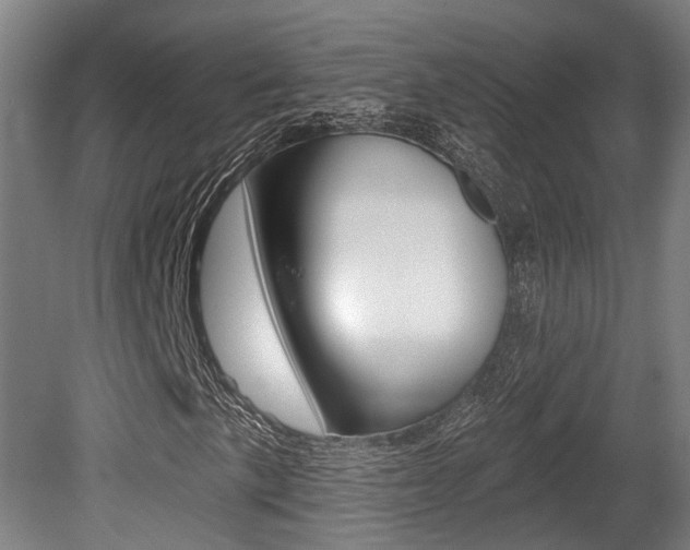 X0000079581057200612010919