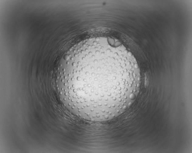 X0000079581059200612010919