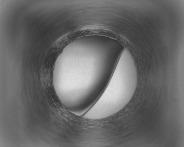 X0000079581062200612010919