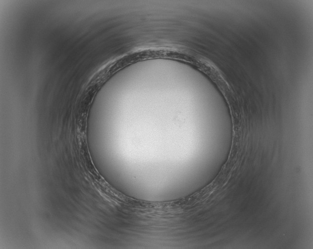 X0000079581064200612010919