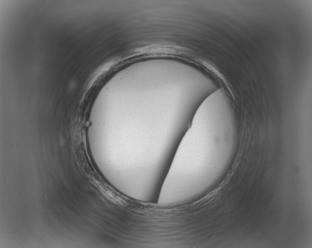 X0000079581067200612010919
