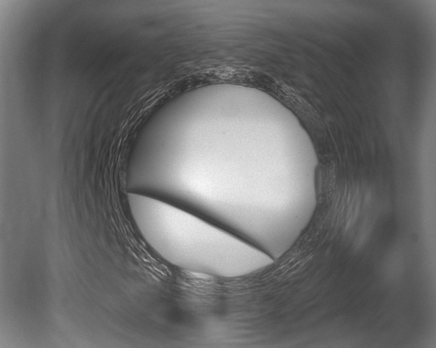 X0000079581105200612010918