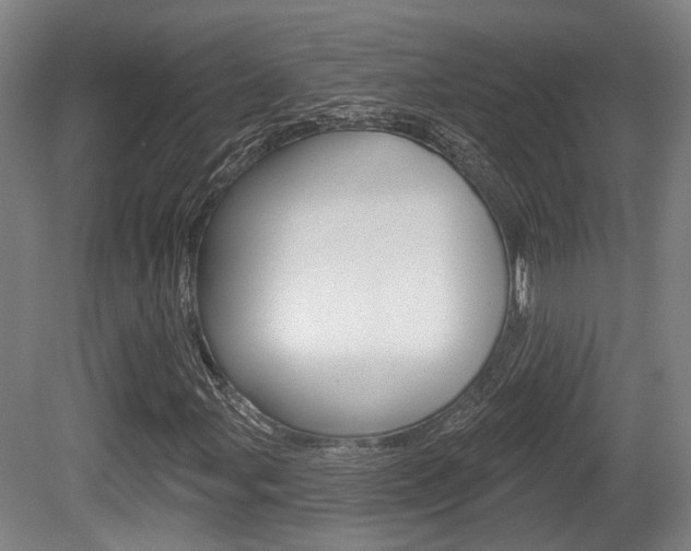 X0000079581107200612010918