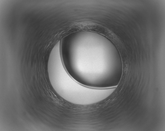 X0000079581108200612010918
