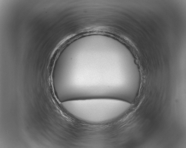 X0000079581117200612010918