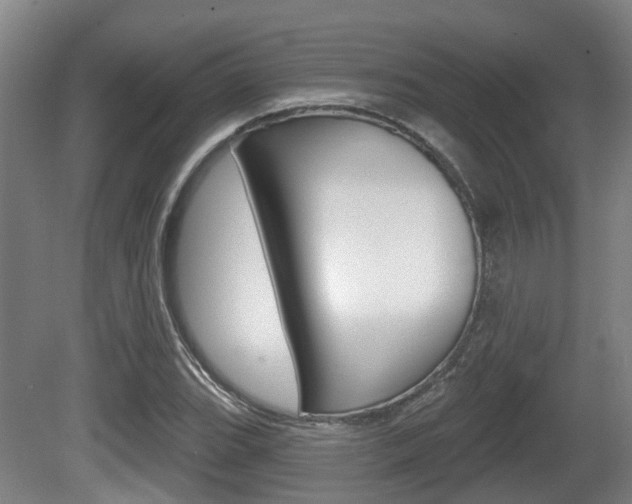 X0000079581119200612010918